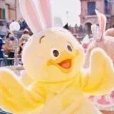 乐欧的做菜小马甲