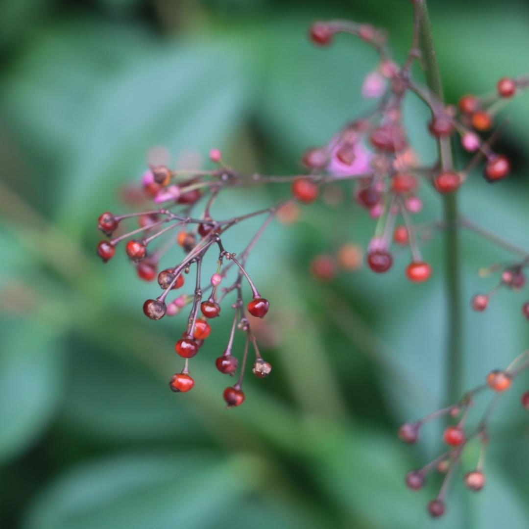 我喜欢原汁原味