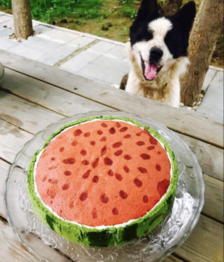 西瓜蛋糕
