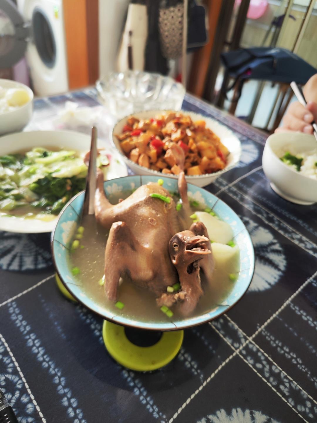 山药鸽子汤（补血益气健脾胃）