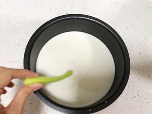 自制酸奶的做法 步骤12
