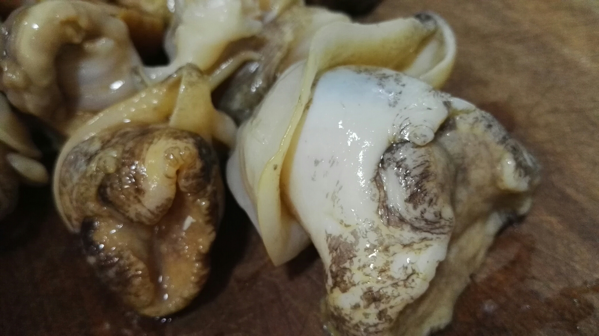 葱油獐子岛海螺片的做法 步骤1