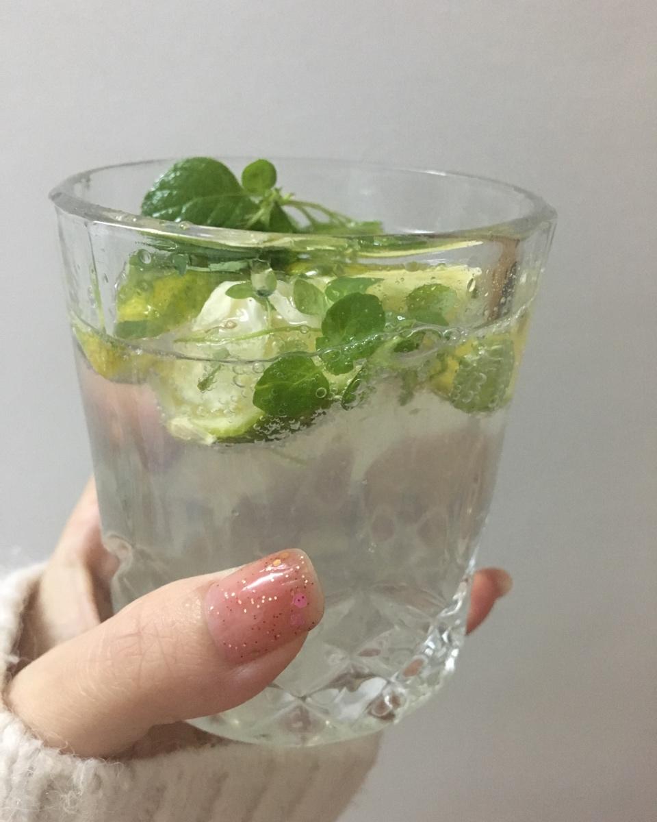 超解压莫吉托 | mojito带来的快乐，与酒精无关