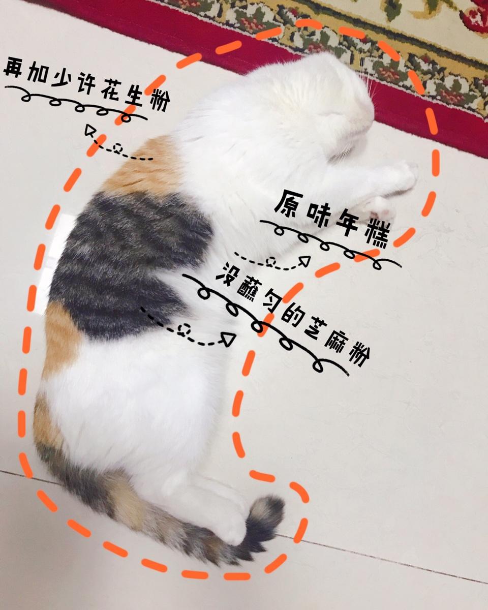 猫咪麻薯包