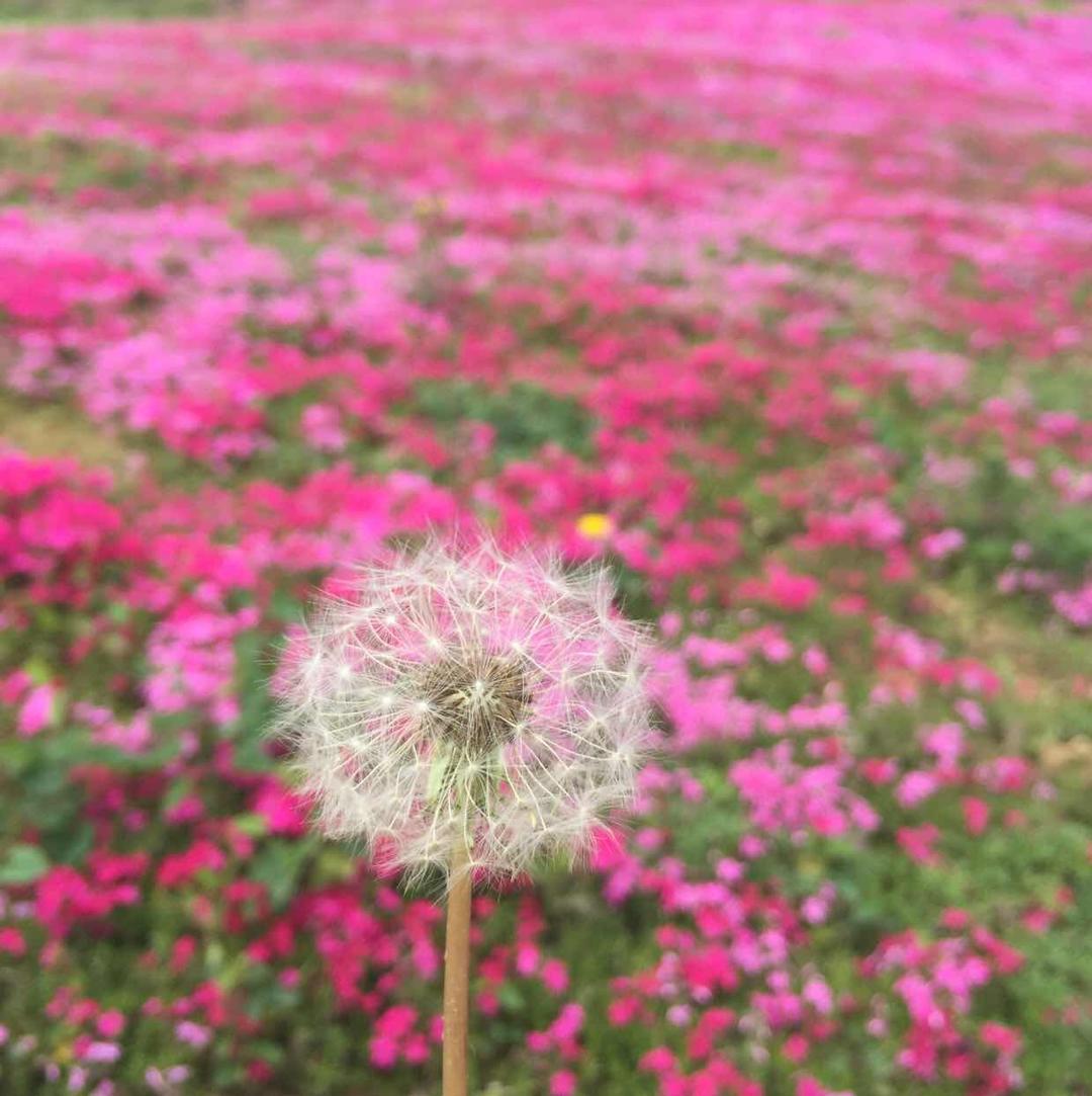 融化的丁丁糖的厨房