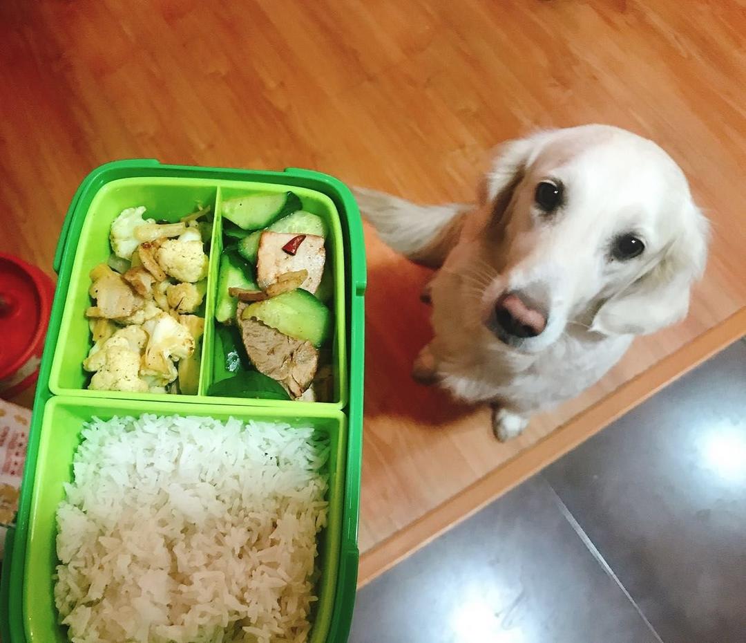 我的便当