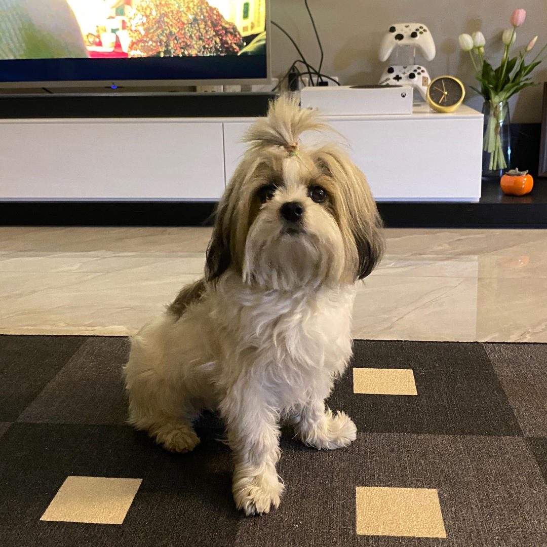 月月仙女吃不胖