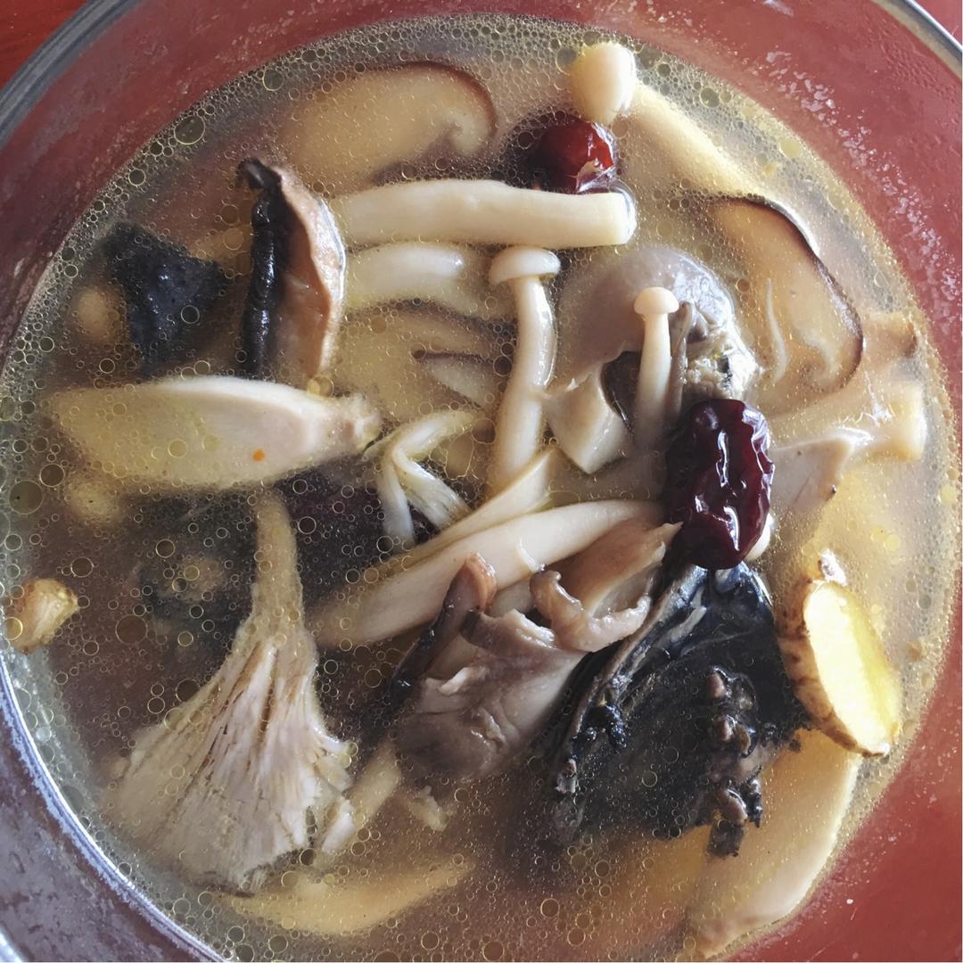 菌菇炖鸡汤
