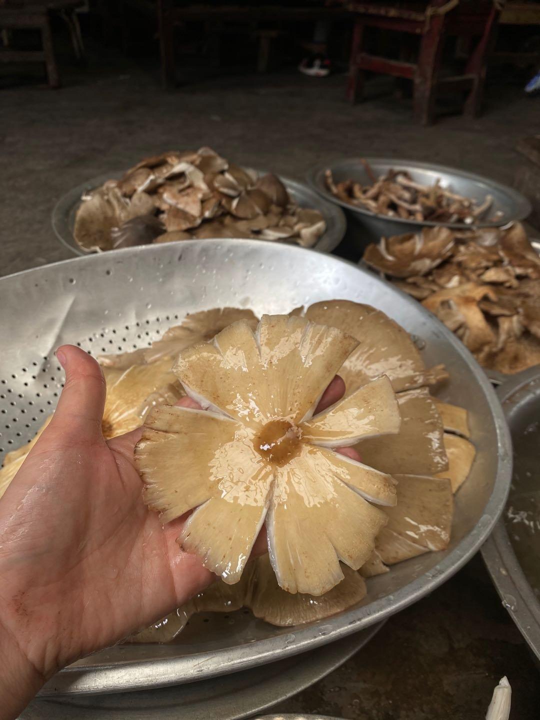 清蒸鸡枞（伞塔菇）