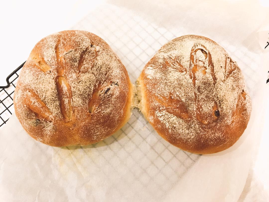 黑麦蔓越莓软欧包