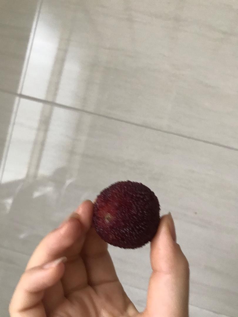 6.15一周尽量减脂饮食