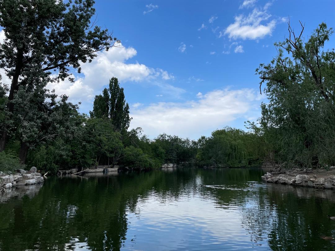 煎饼果子的做法