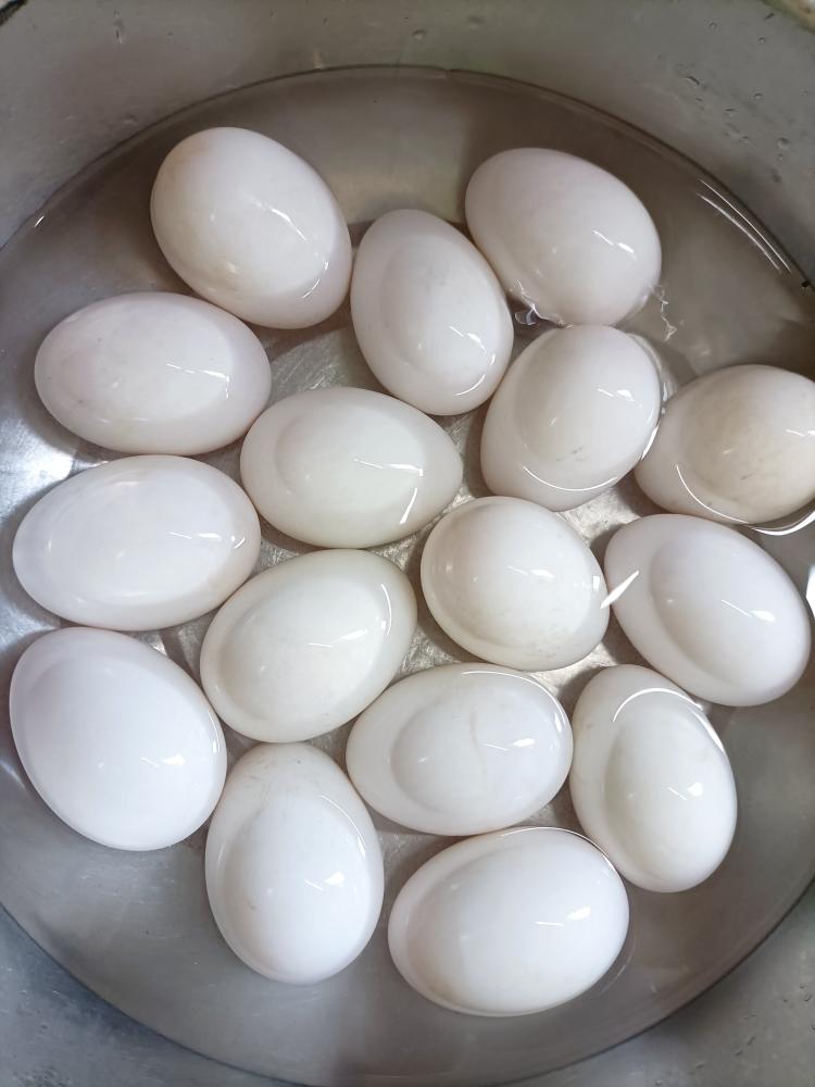 腌制咸鸭蛋的做法