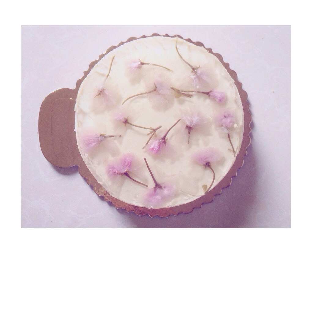 要的就是小清新：樱花冻芝士蛋糕
