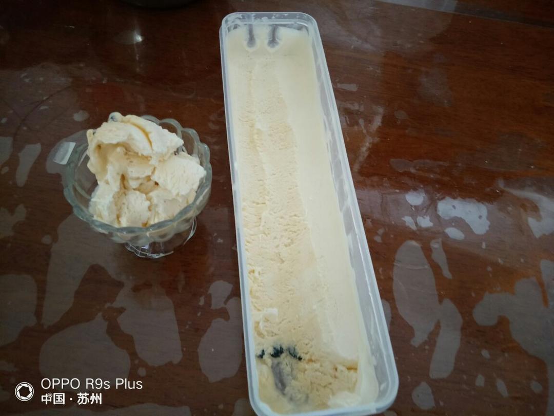 朗姆黑加仑冰淇淋 Rum Raisin Ice cream