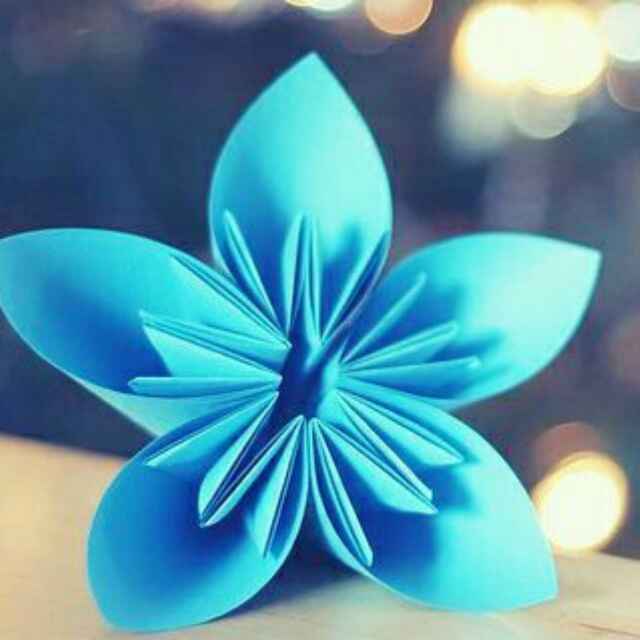 爱生活的小美好