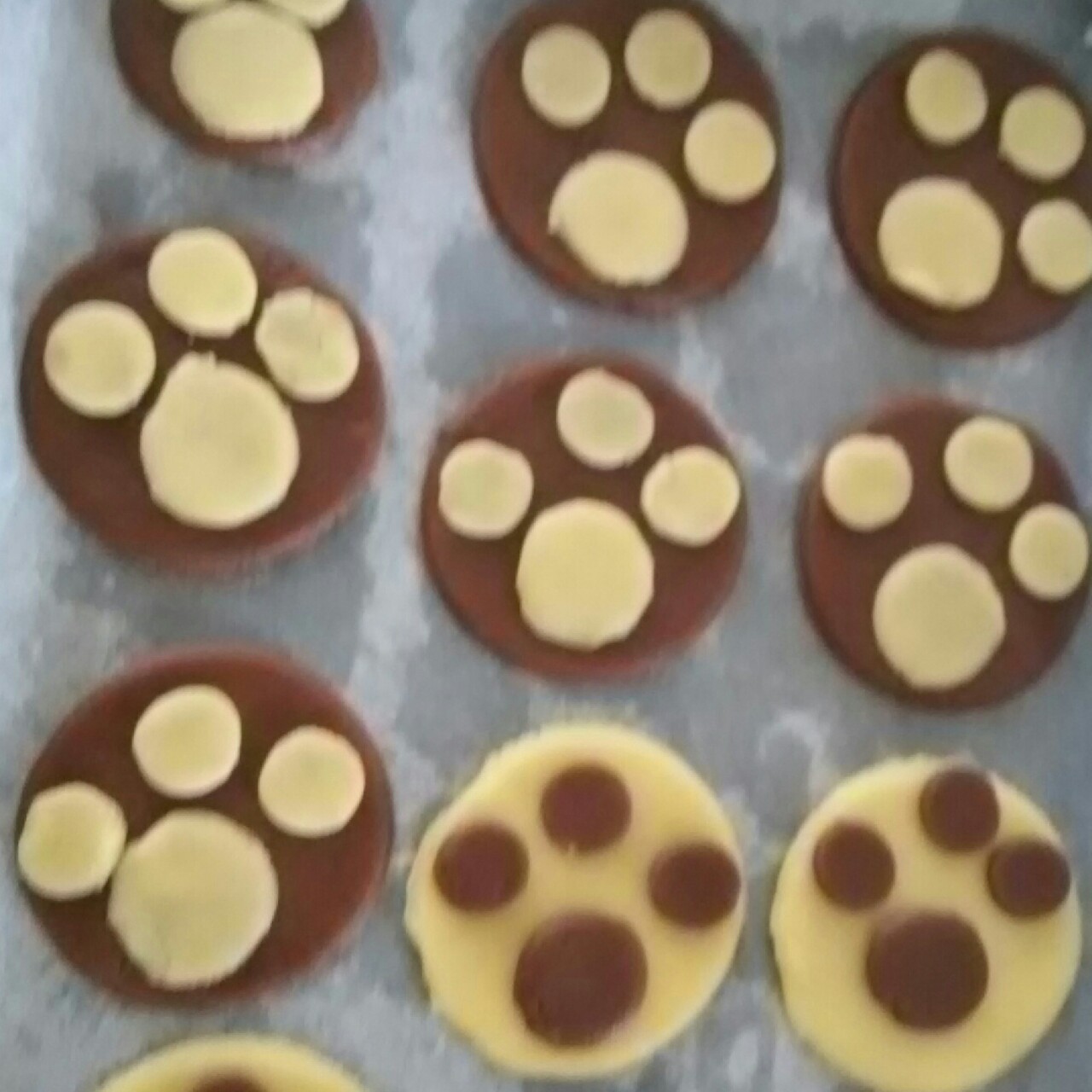 猫爪饼干