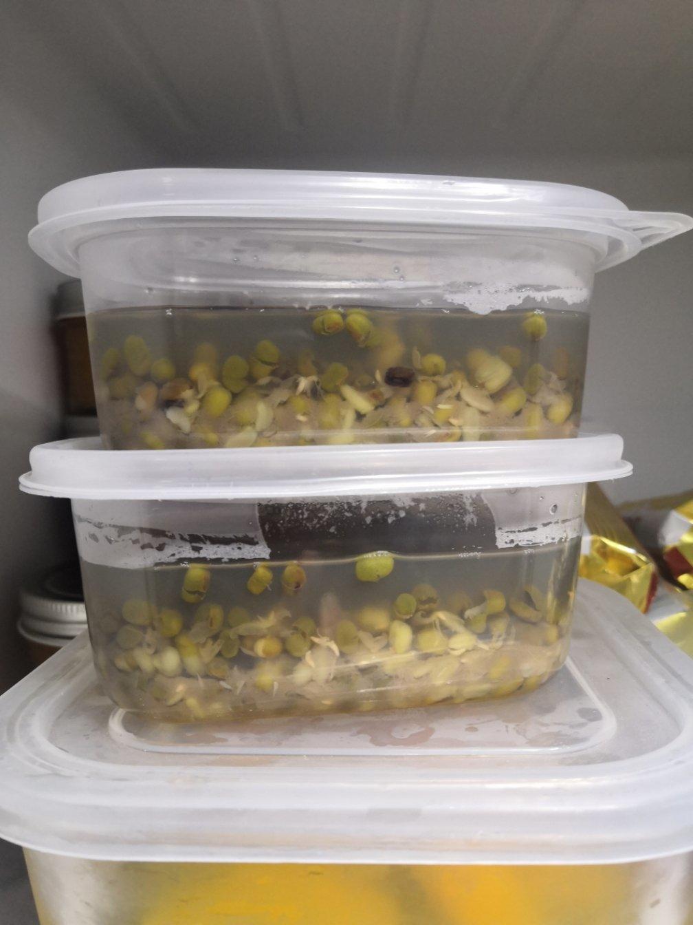 免泡十分钟开花绿豆汤