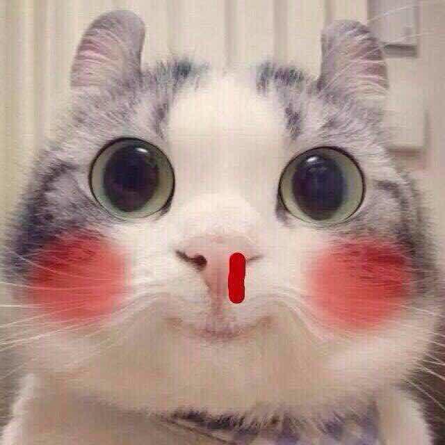 谢顺利