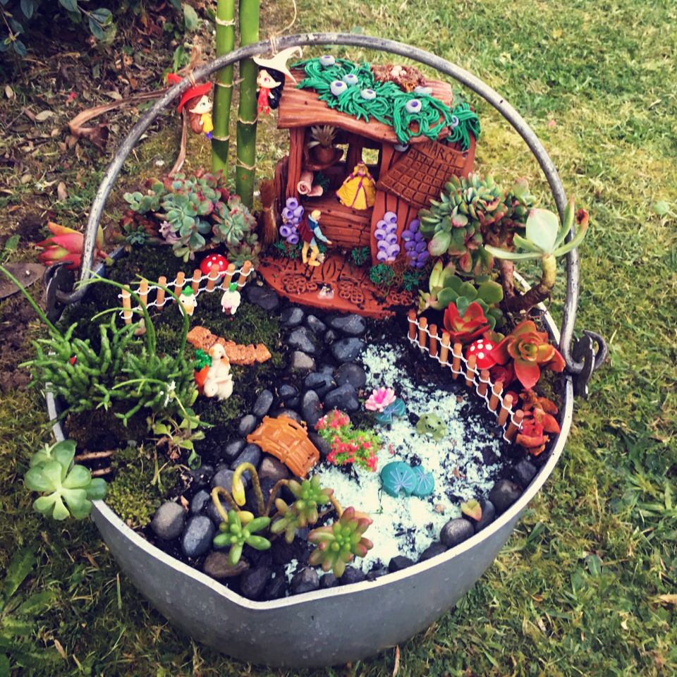 我家的花花草草