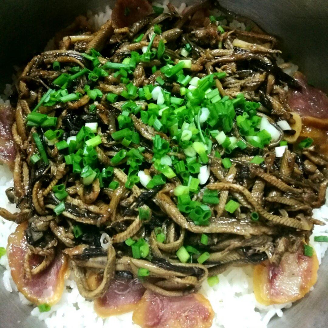 黄鳝煲仔饭