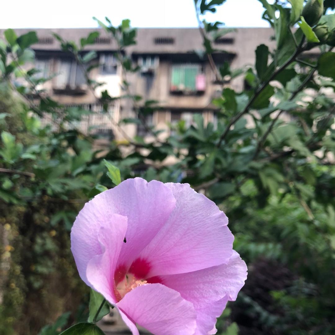 熠熠张