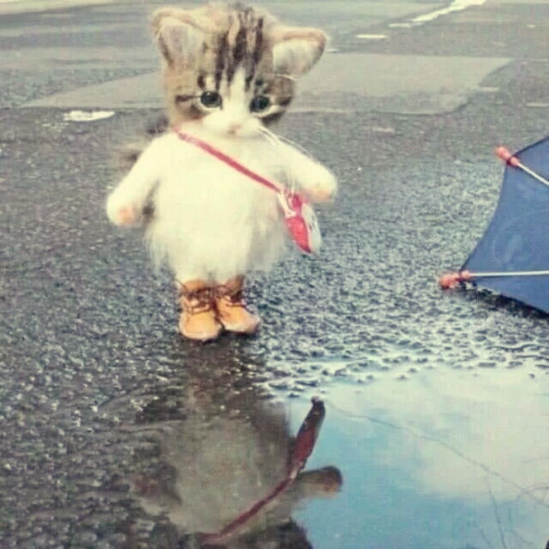 Joyce欣