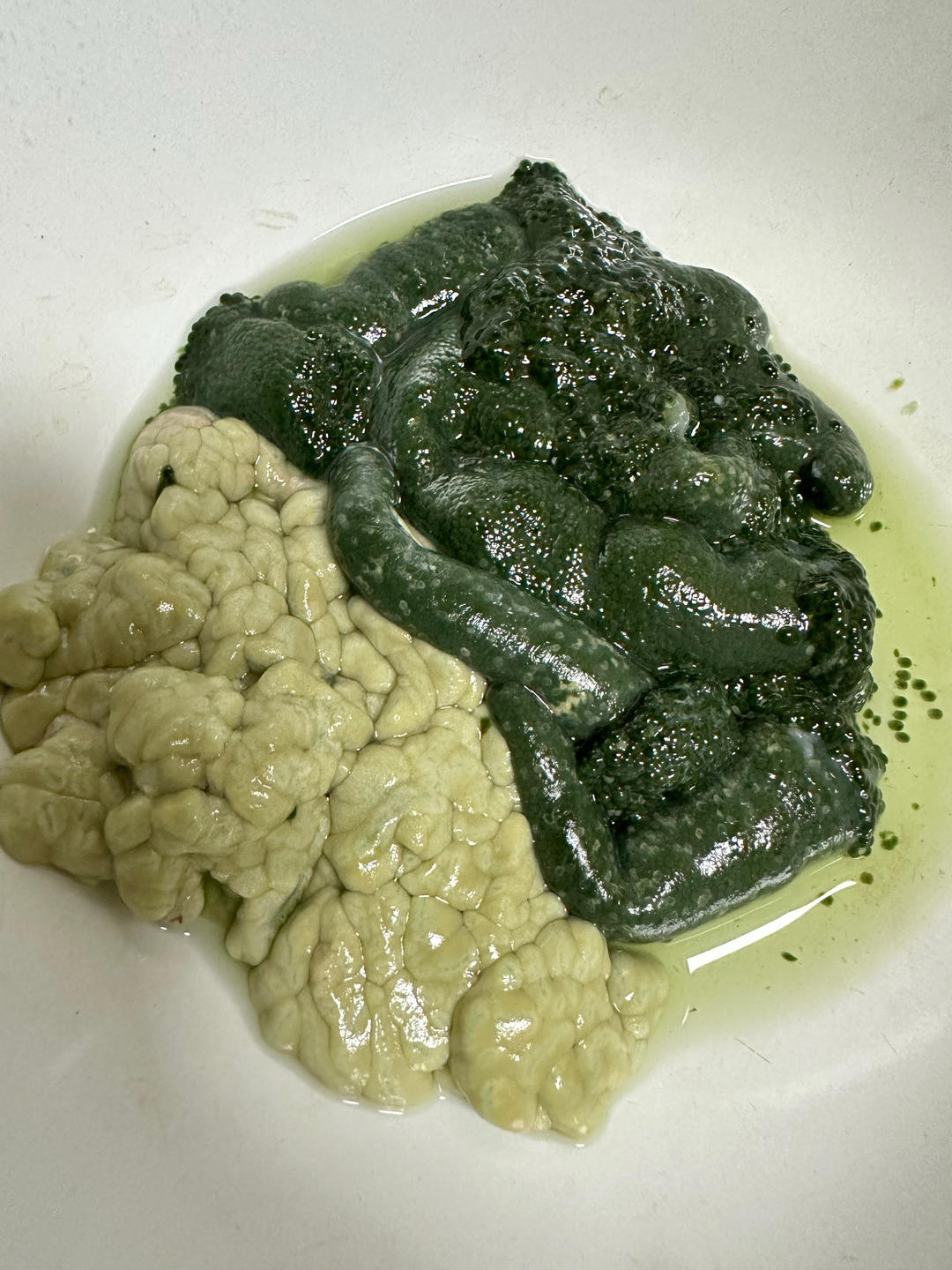 波士顿龙虾-一虾三吃