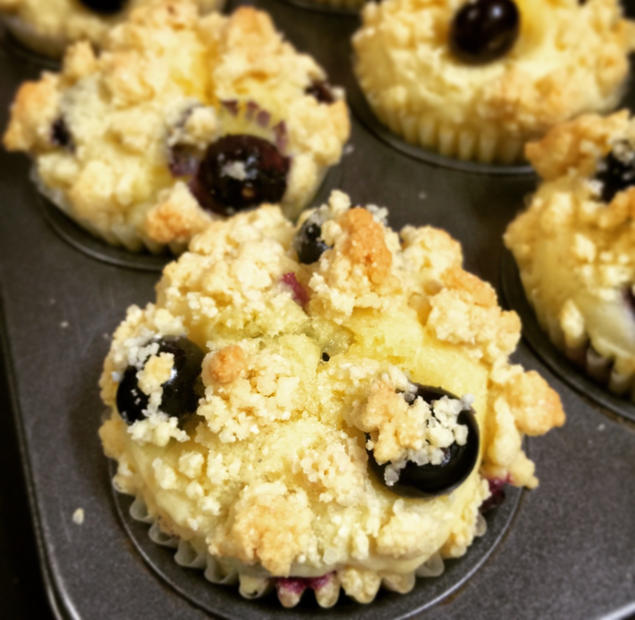 PH大师的金宝顶蓝莓马芬