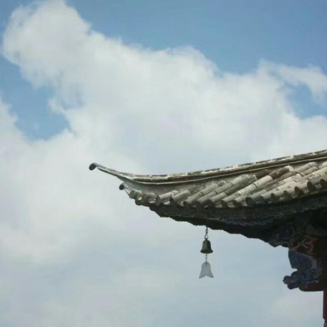 Amy的悠悠时光