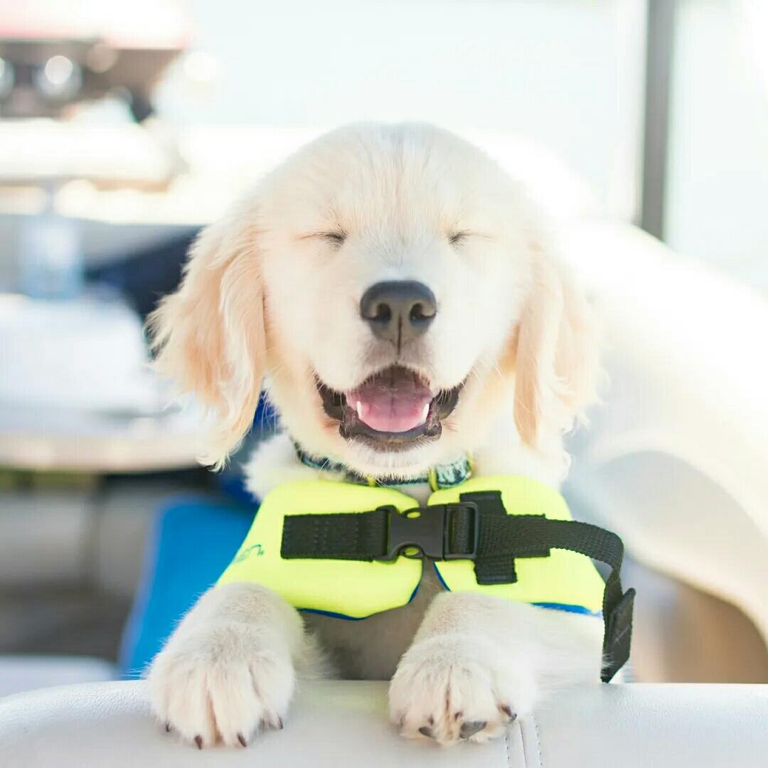 20200929晚餐的做法