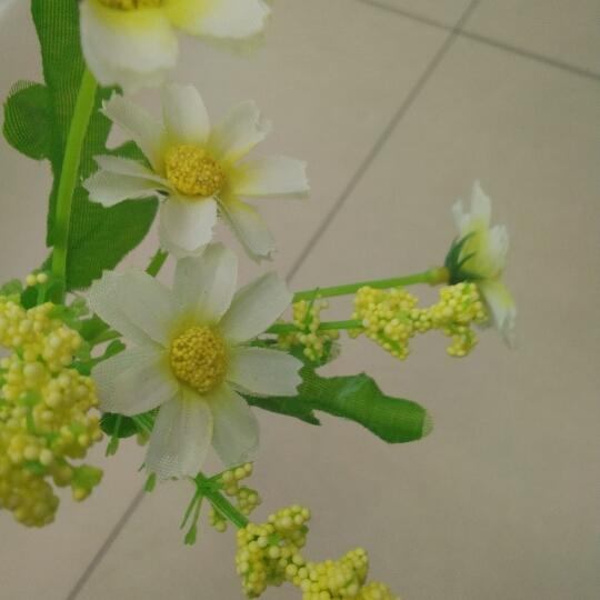 闪烁吖