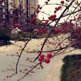 乐陶陶每一天