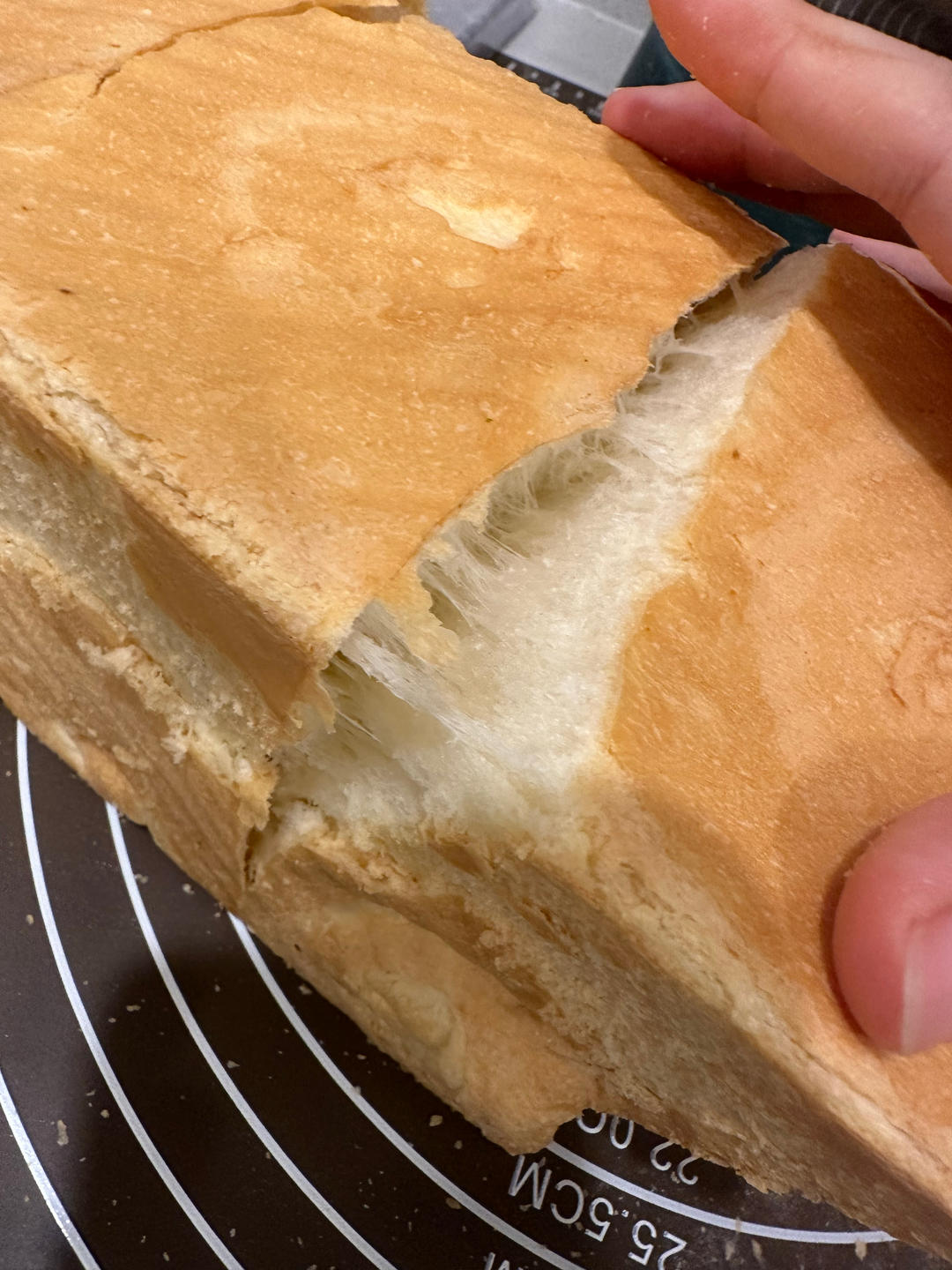 波兰种吐司面包🍞一次发酵