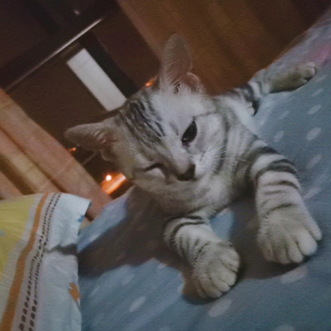 花卷豆沙的厨房