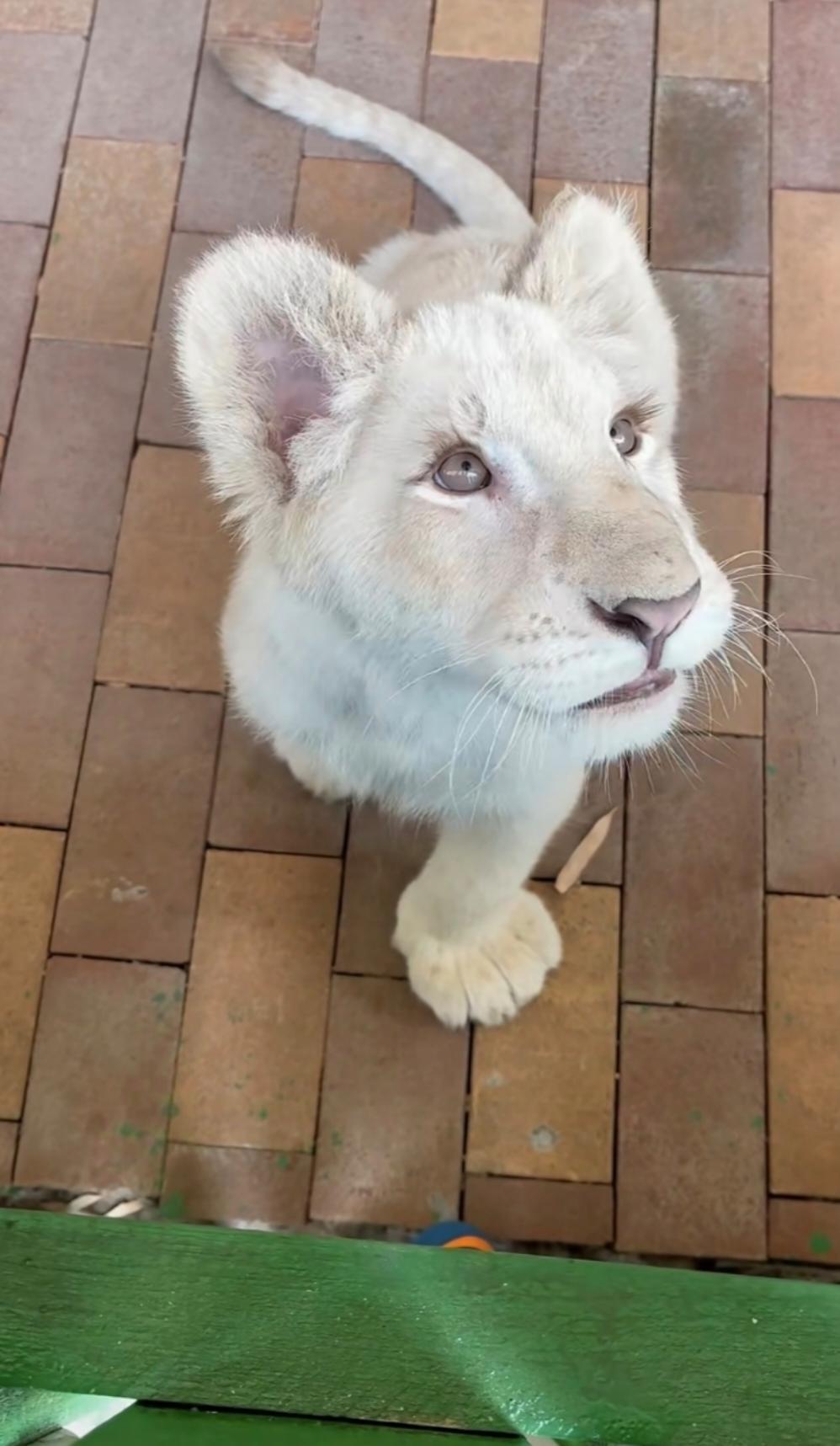 下厨房用户_sybca