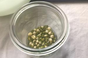 水培绿豆盆栽“成长记”的做法 步骤6