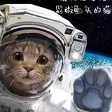 最近超爱吃剁椒鱼头的猫