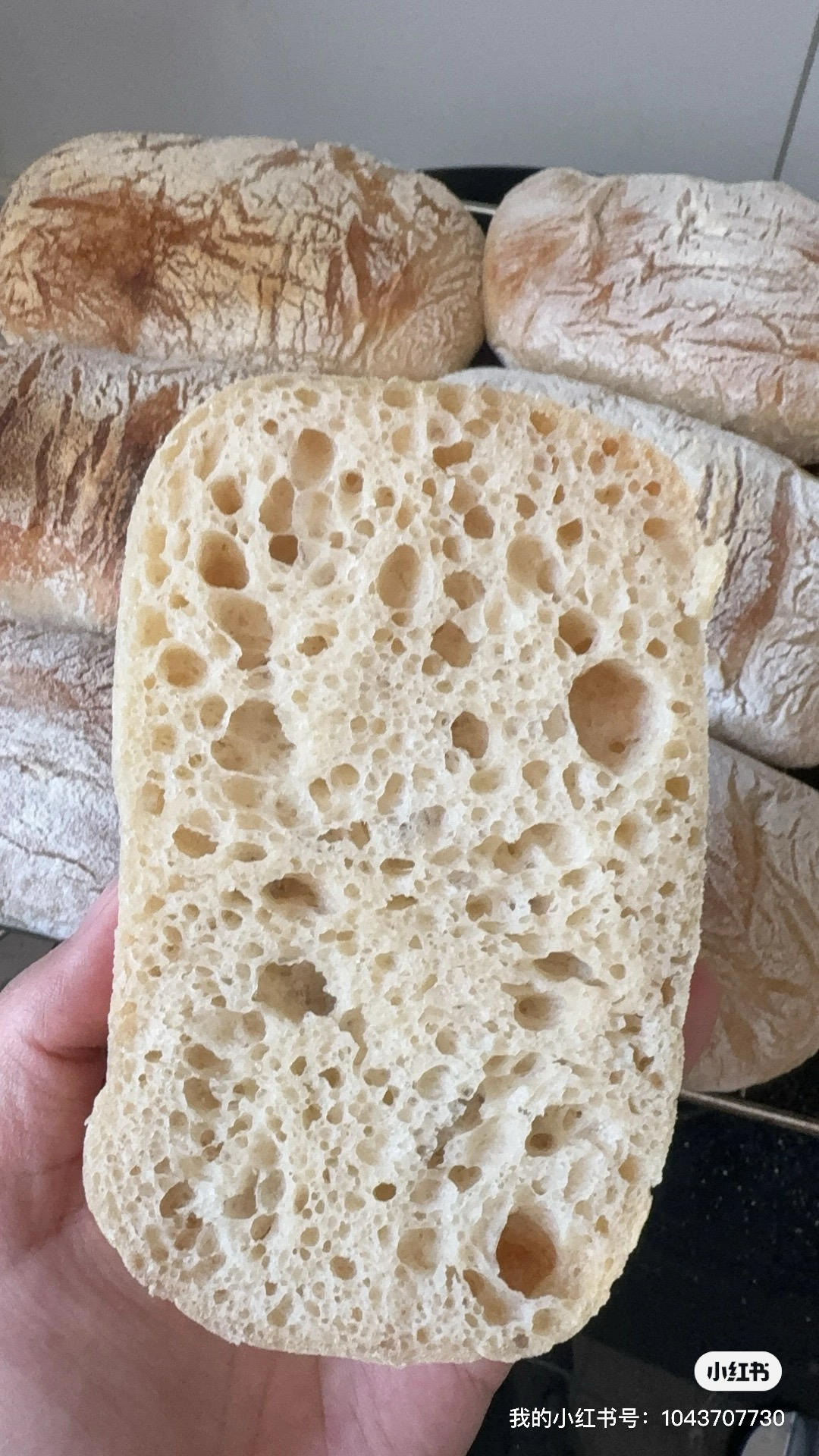 无糖少油｜原味恰巴塔面包｜Ciabatta