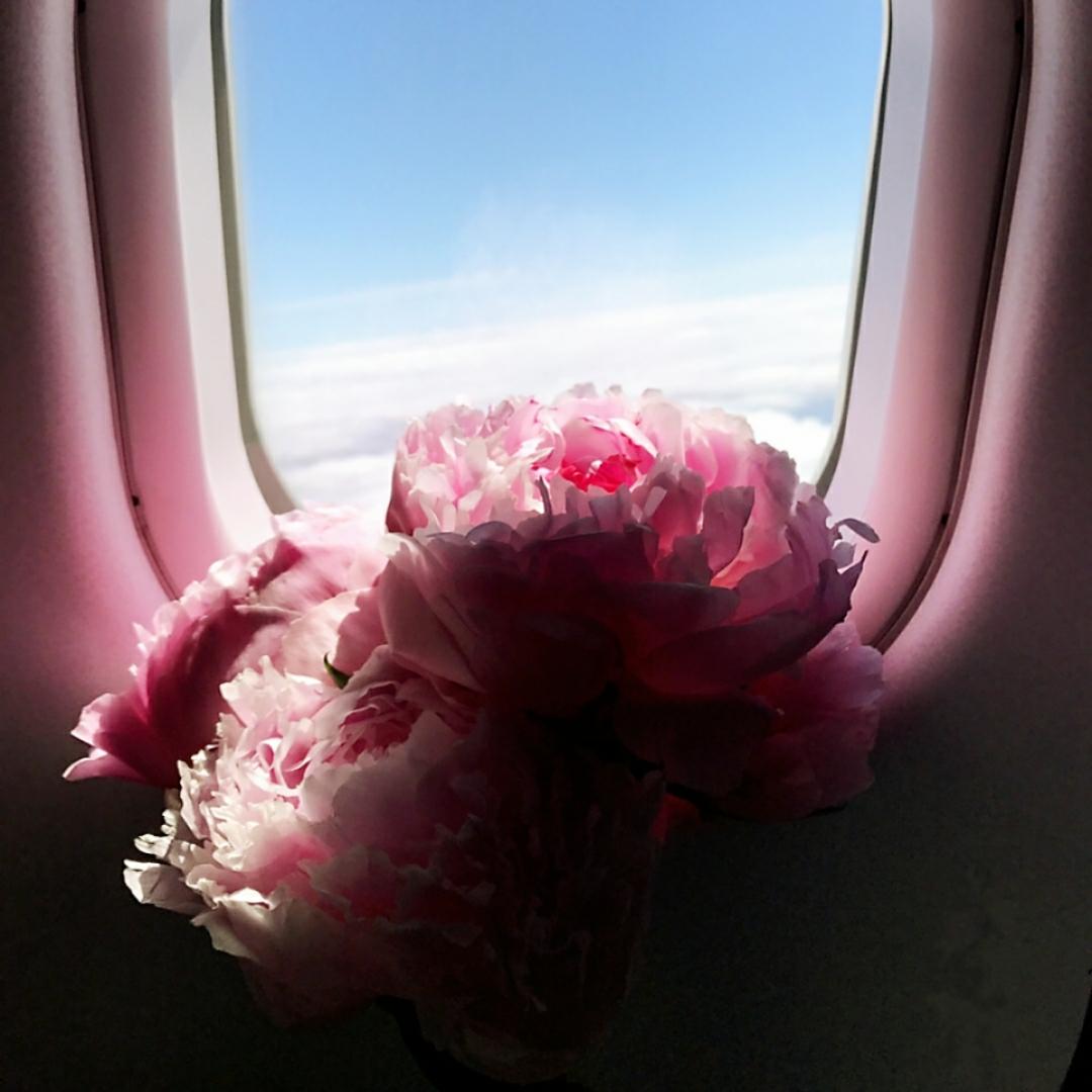 微微么么很倾城