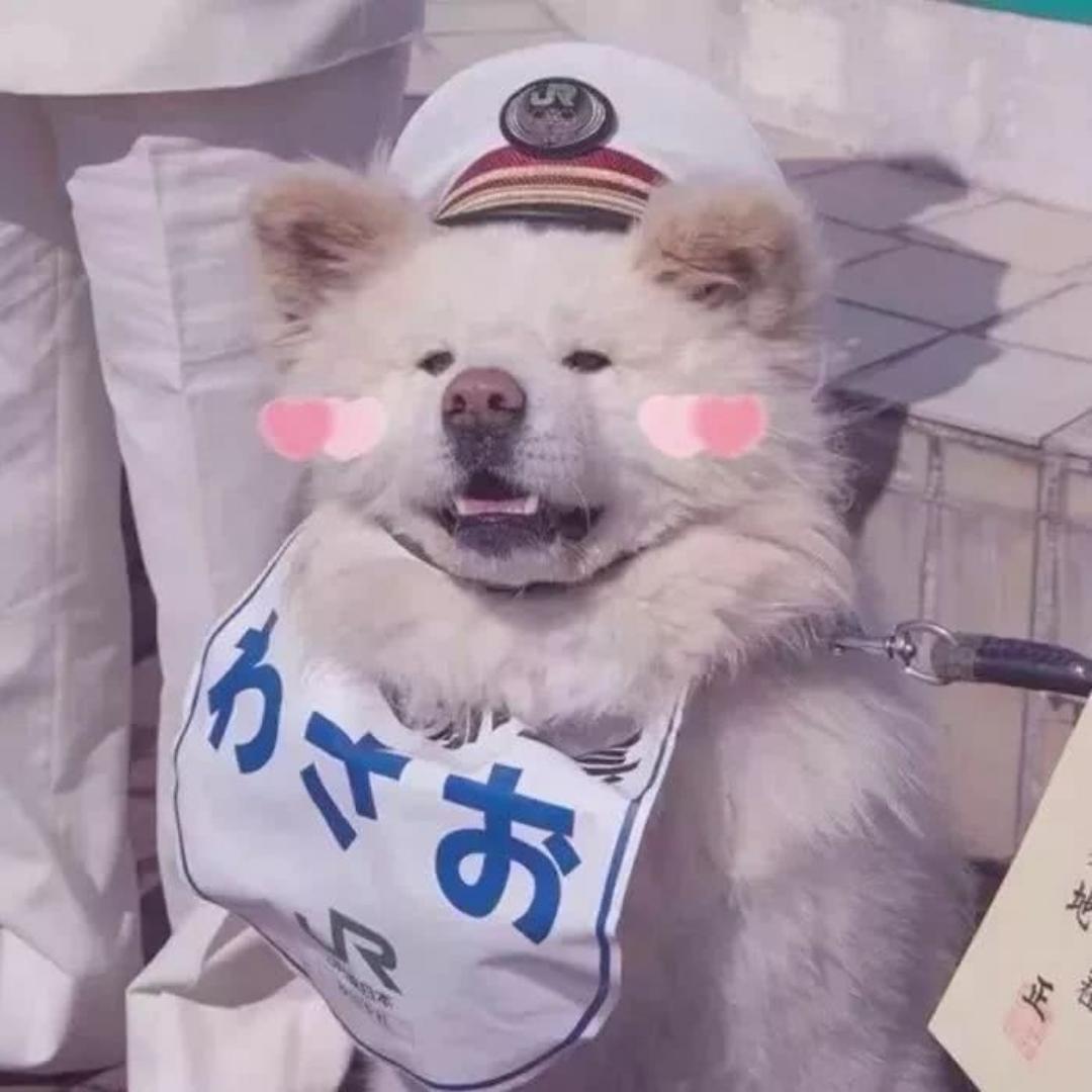 我有五个橘子