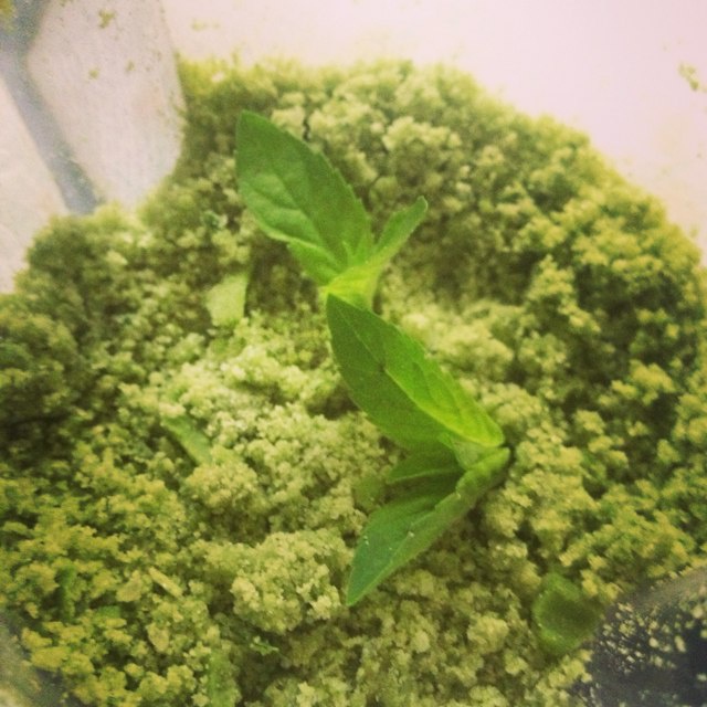 百用薄荷糖
