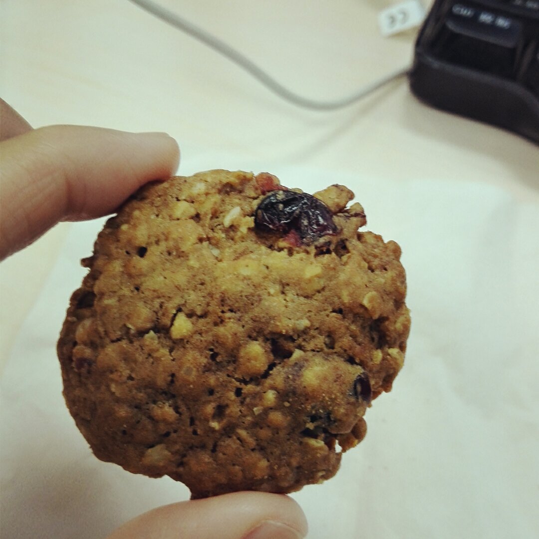 黄糖燕麦葡萄甜饼