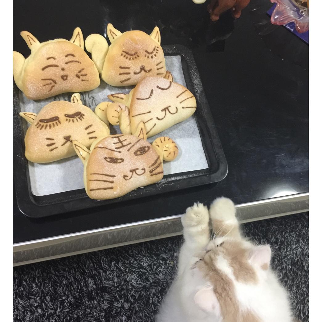 麦麸大脸猫面包