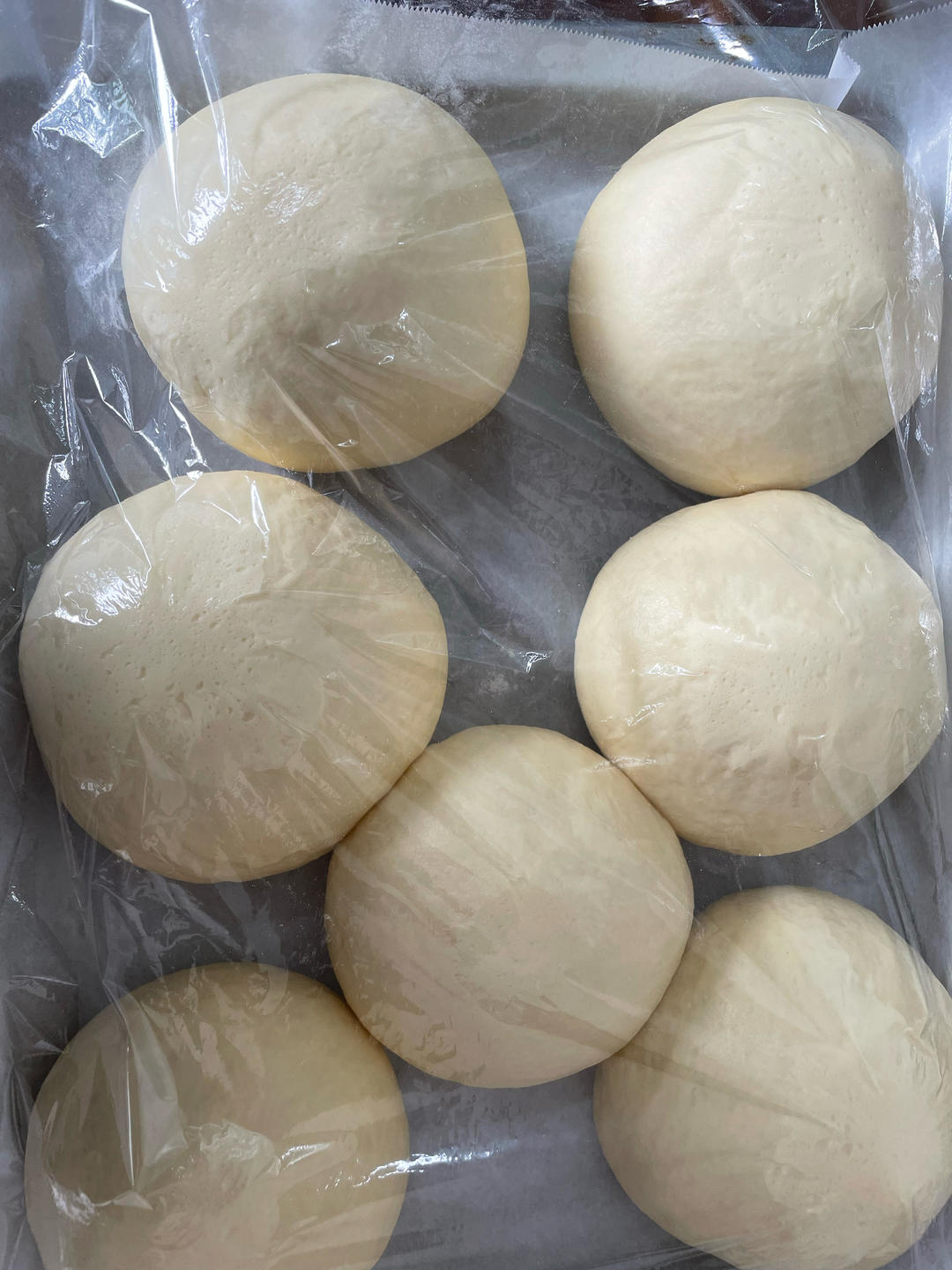 记录一个超级软的万用汉堡胚（波兰种）