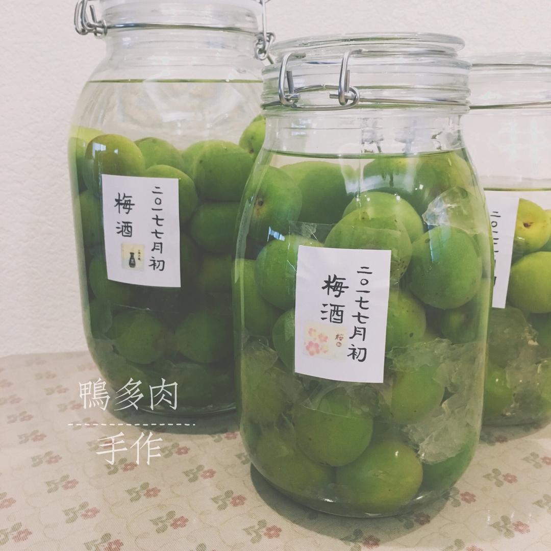 【青梅酒】梅子的沉醉时光（已填坑）