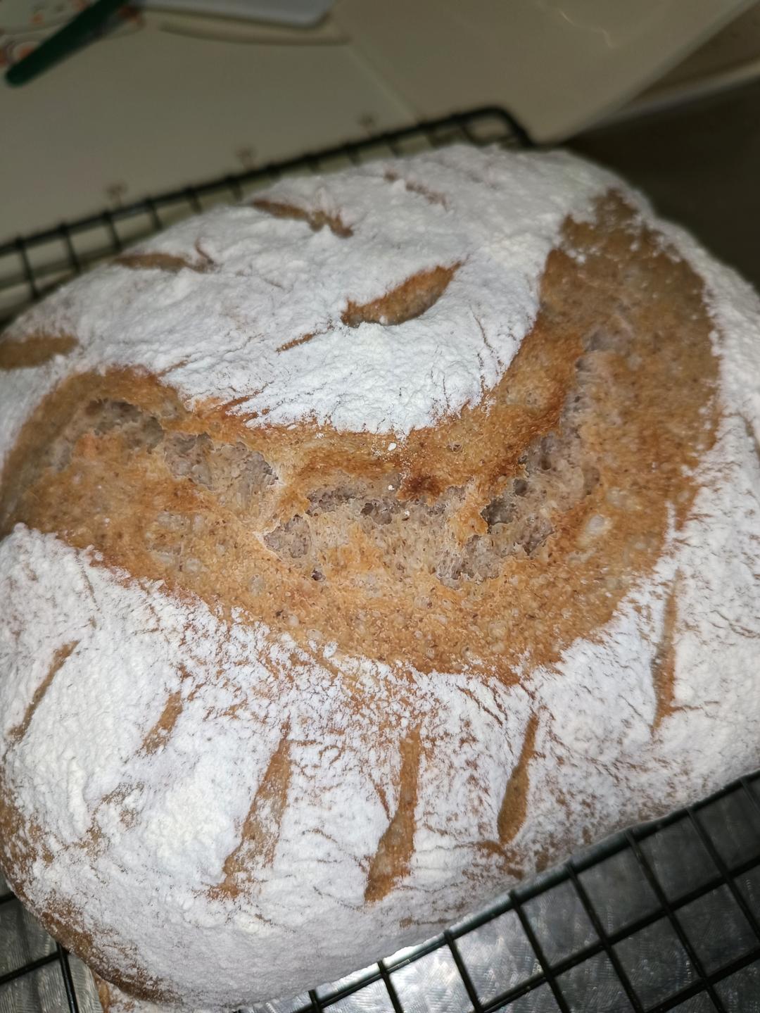 免揉💯无糖无油全麦欧包㊙️健康主食 越吃越香