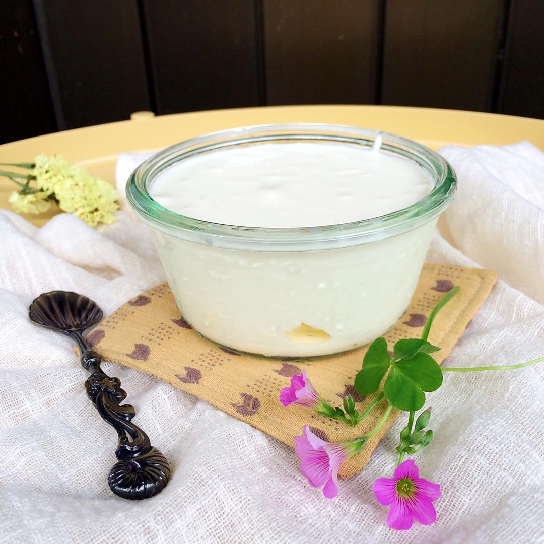 我不是白痴毛做的自制鲜酪乳——比酸奶更醇香浓稠