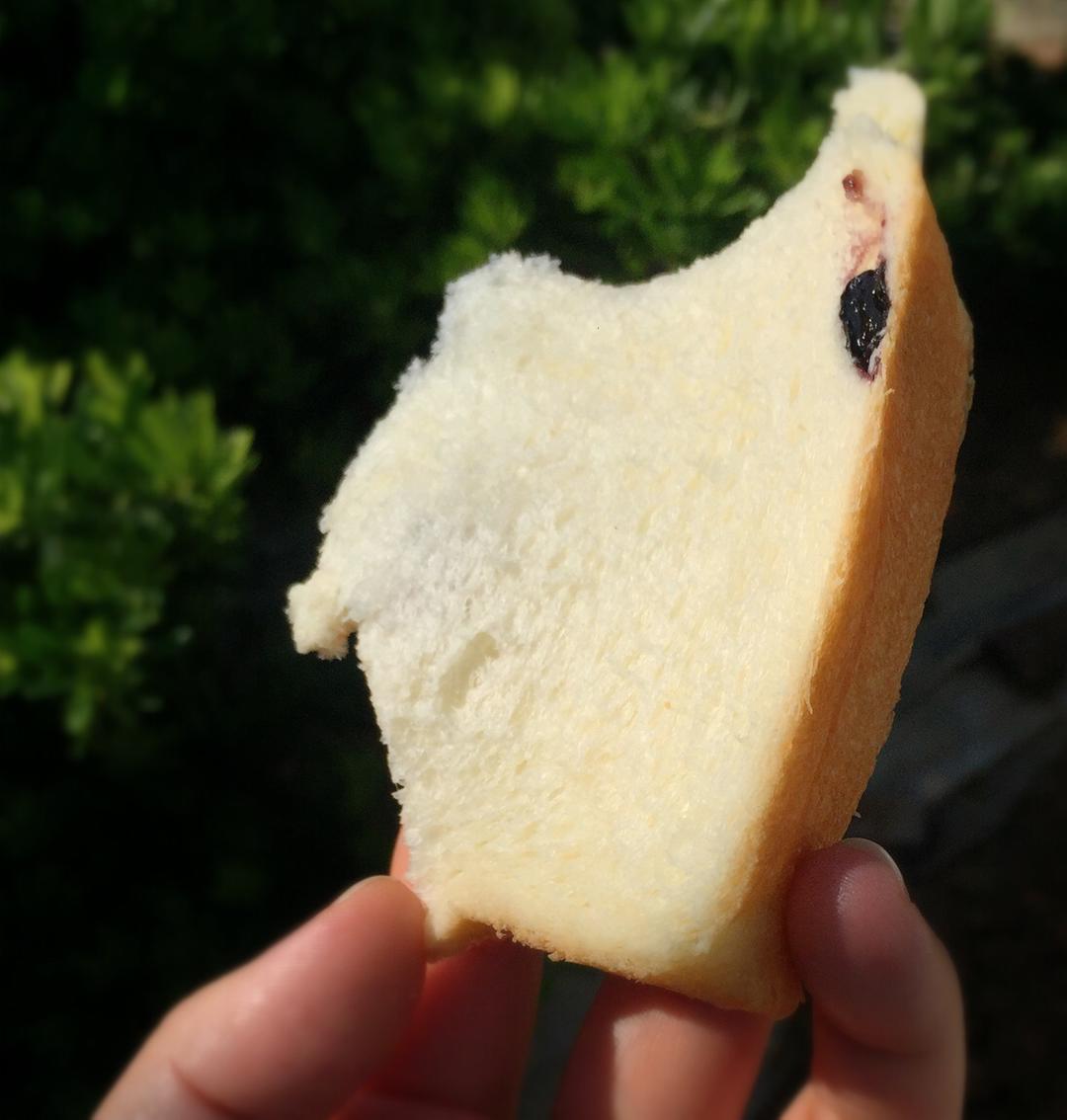 双莓吐司