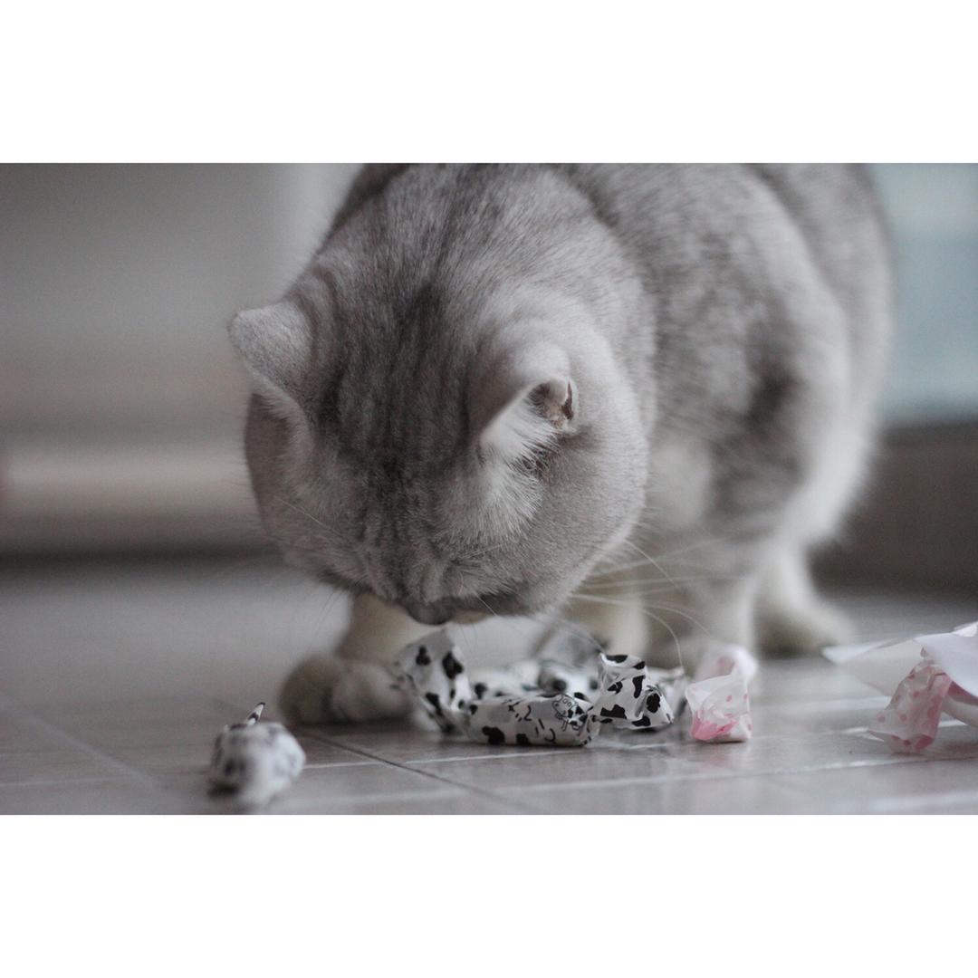 甜蜜食光——我心目中的牛轧糖